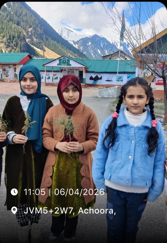 #Save trees save Life...