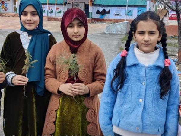Plantation Drive
